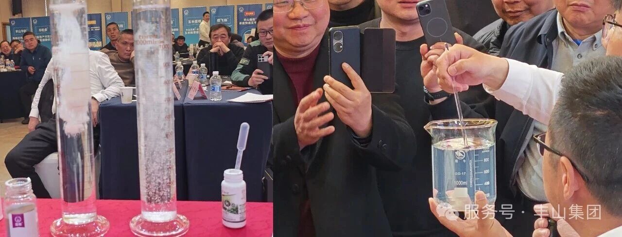 微信图片_2026-03-16_154516_490.jpg 微信图片_2026-03-16_154516_490.jpg